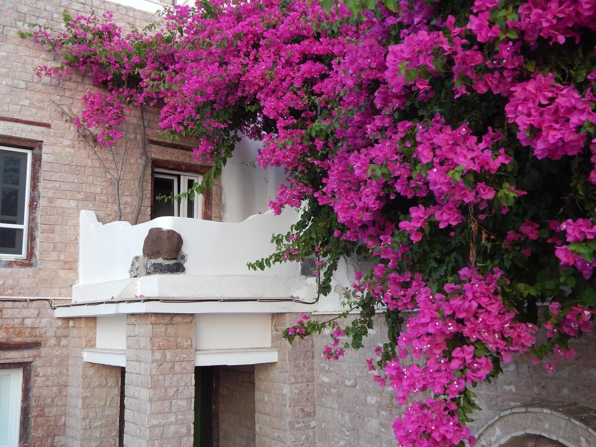 Le Petit Greek Fira (Santorini) Exterior foto